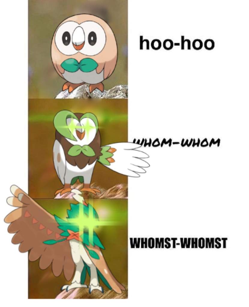 WHOMST WHOMST | Pokéverse™ Amino