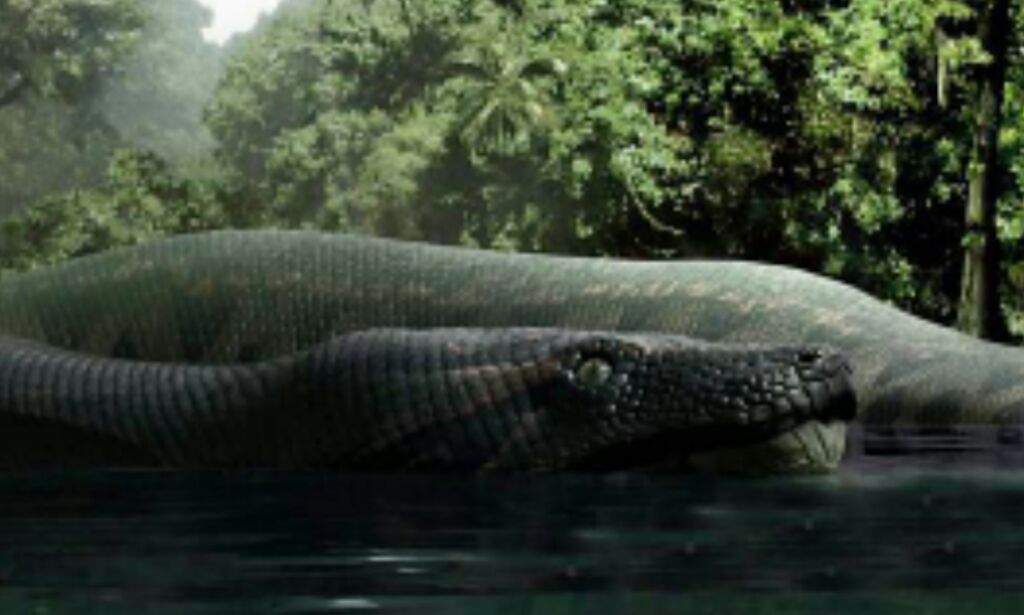 Titanoboa | Wiki | Prehistoric Amino! Amino