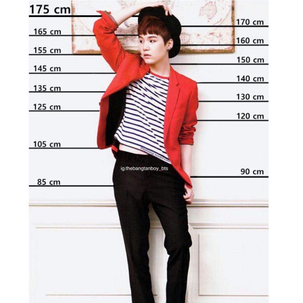 Qual A Altura Dos Membros Do Bts Bts height | ARMY's Amino