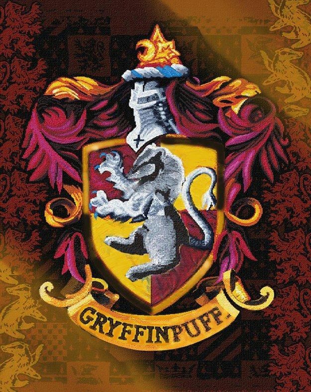 Gryffinpuff! ( Gryffindor Hufflepuff Hybrid ) | Harry Potter Amino