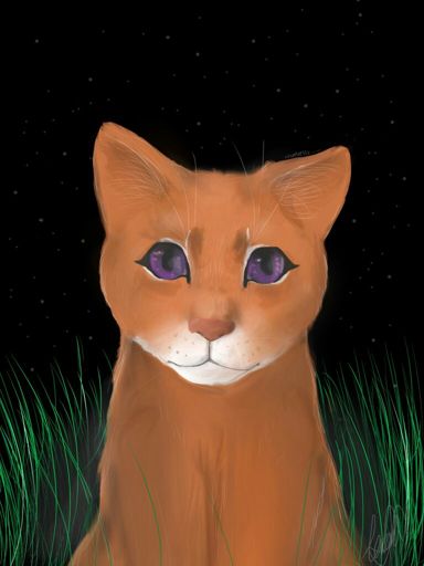 Heatherpaw- realism attempt? | Warriors Art 🖌 Amino