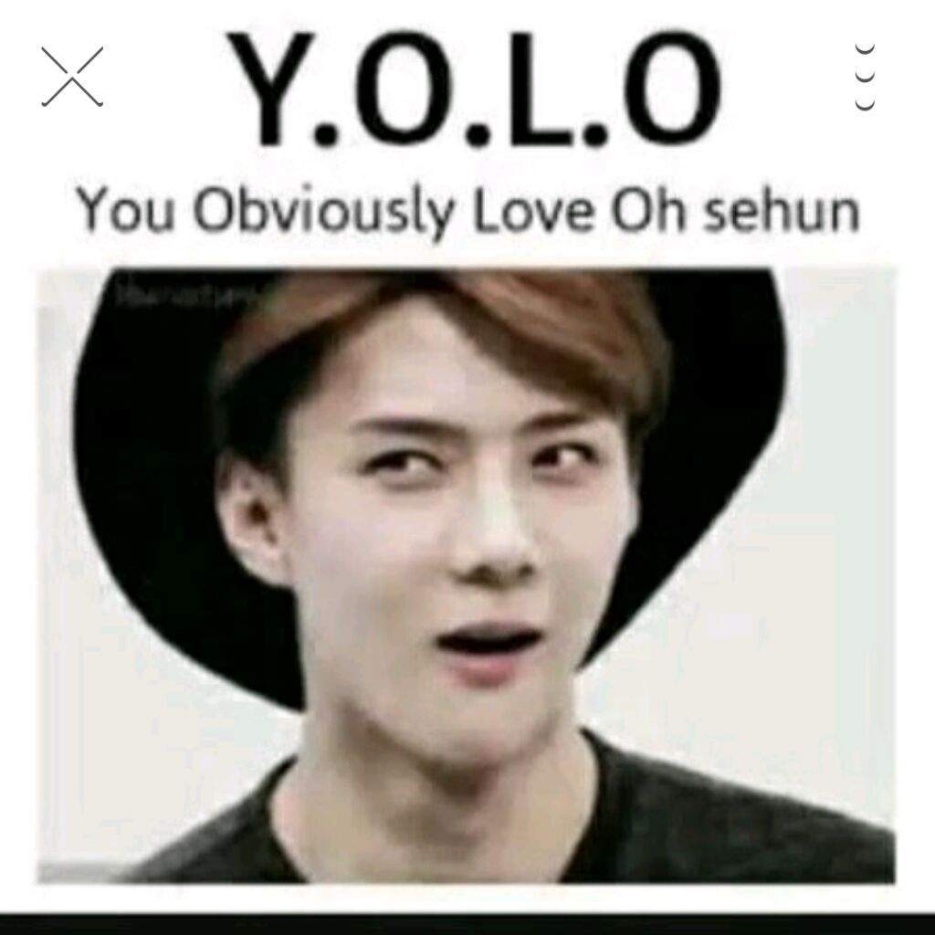 Memes All Around Exo Ls Amino Memes All Around Exo Ls Amino