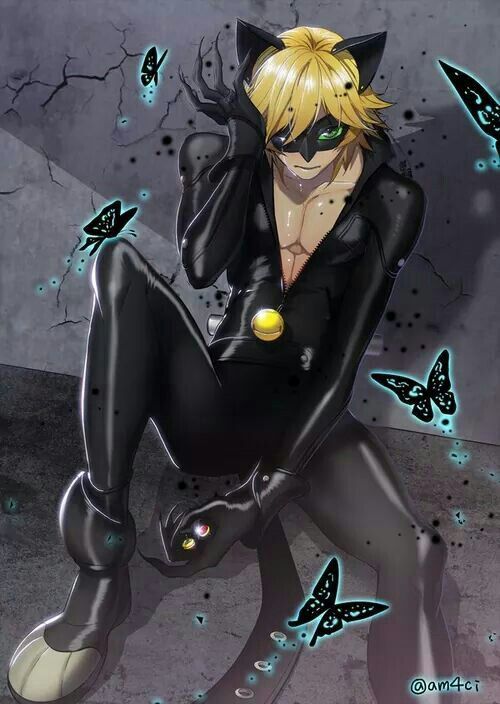 chat noir sexy Miraculous Ladybug Español Amino