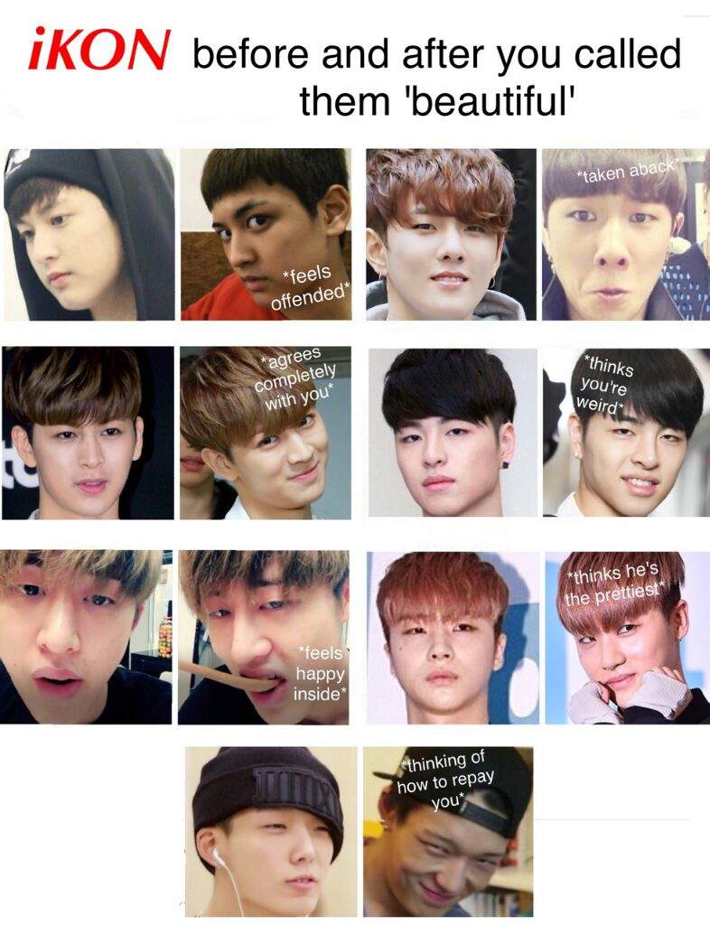 iKON Memes | K-Pop Amino