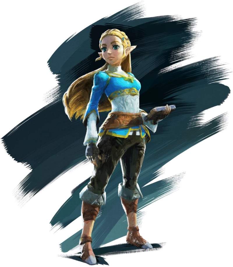 BotW Zelda | Zelda Amino