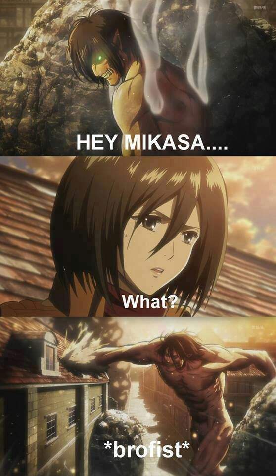 Mikasa memes | Attack On Titan Amino