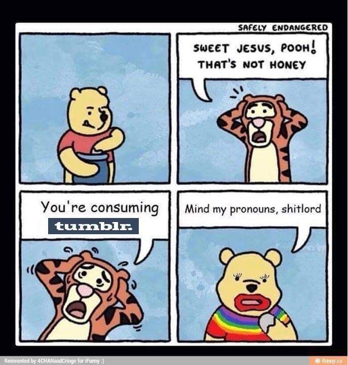 Pooh Memes Virtual Space Amino