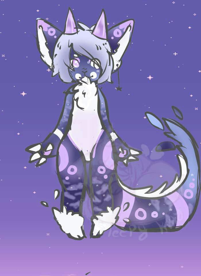 Equinox | Wiki | Furry Amino