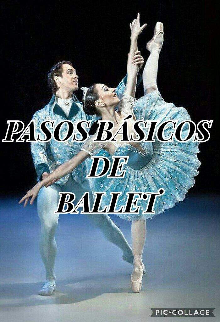 Pasos Basicos De Ballet Ssnadsryeѕ Amins Amino