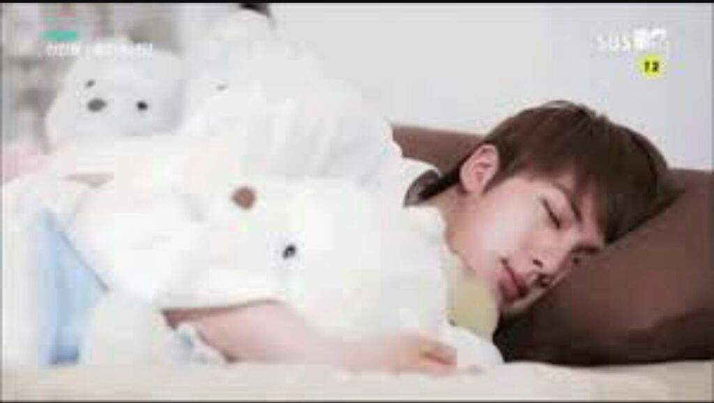 Let`s learn about how BTS sleeping ARMY's Amino