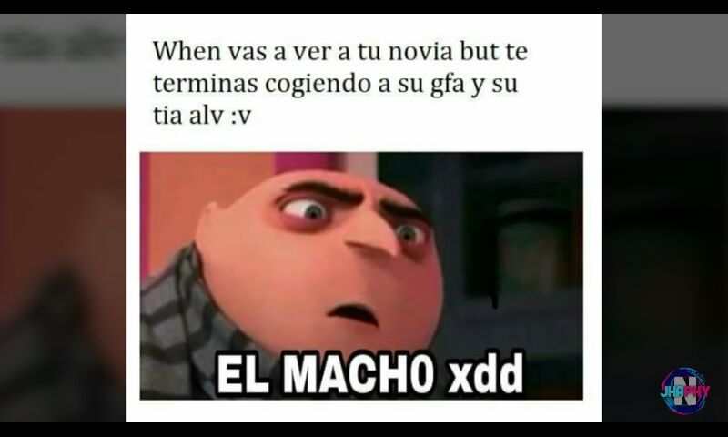 Pack de memes de : El macho xdxdxd | •Anime• Amino