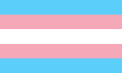 🍄La bandera Transexual 🌷 | LGBT+ ♡ Amino