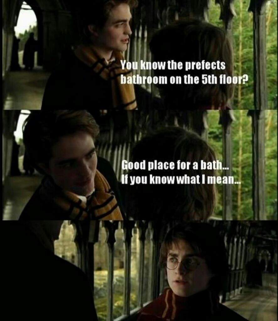 If You Know What I Mean Hp Meme Harry Potter Amino