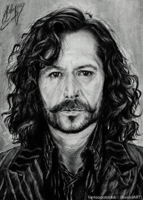 Sirius Black's Death and Why ? | Harry Potter Amino