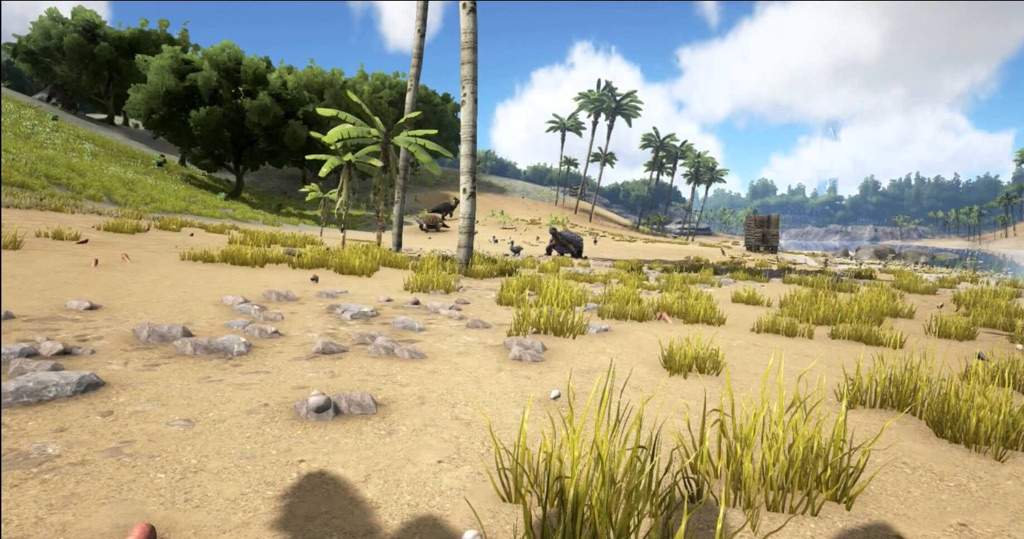 Where Should You Live? P:1 Beaches | Wiki | Ark Survival Evolved Amino