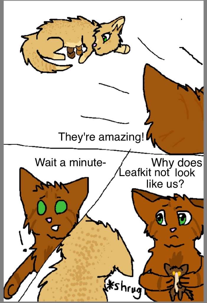 Why Doesn't Leafpool Look Like Her Parents? | Warriors Amino