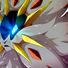 amino-BLAZING SOLGALEO!-13880a1e