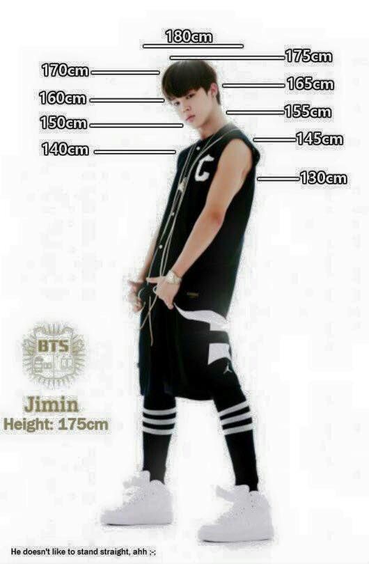 HOW TALL ARE YOU NEXT TO YOUR BIAS  ARMY's Amino