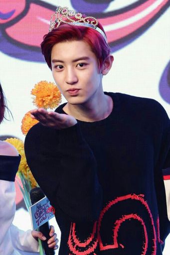 Exo Chanyeol | EXO (엑소) Amino