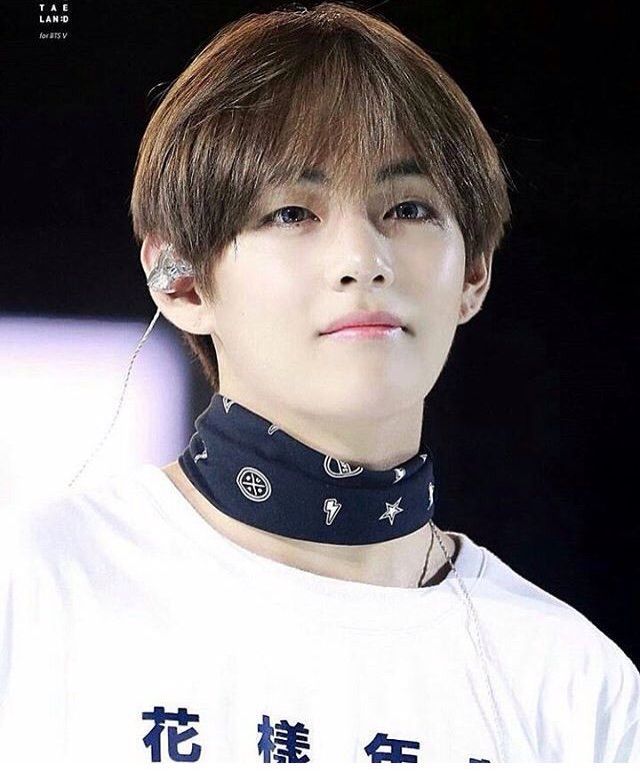 Kim Taehyung (Gucci King) | Wiki | ARMY's Amino