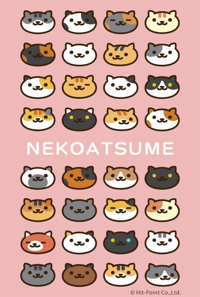 neko atsume amazon