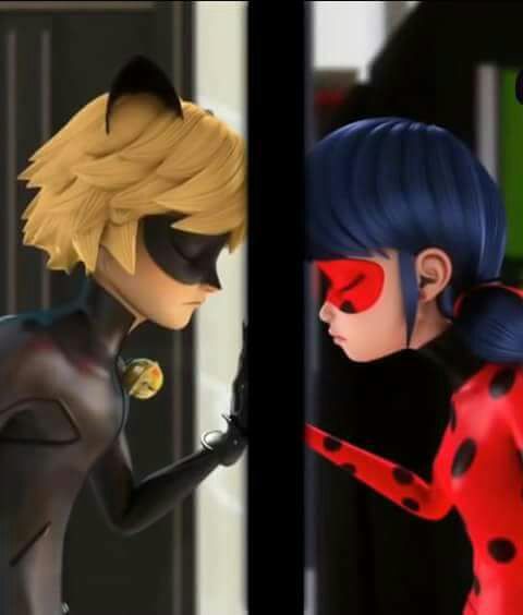 Adrien agreste #CHAT NOIR | Wiki | •Miraculous Ladybug Español• Amino