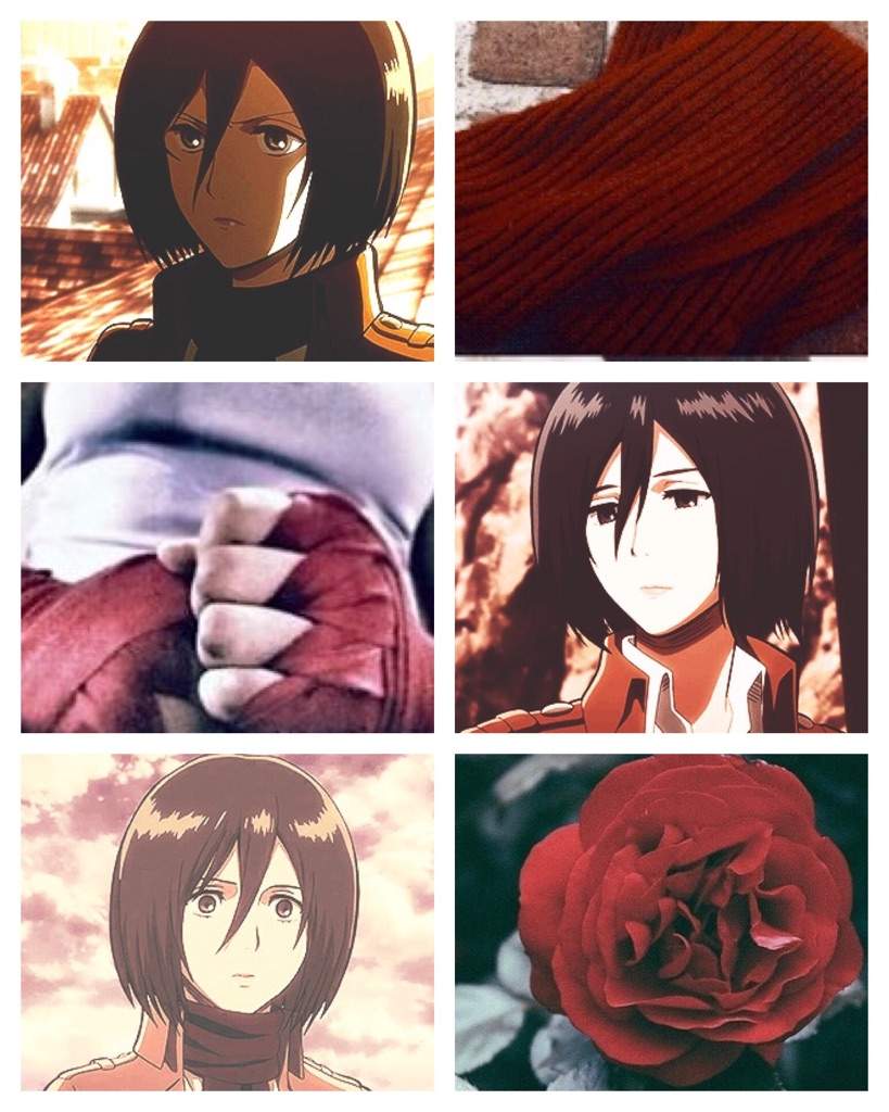 Mikasa aesthetic