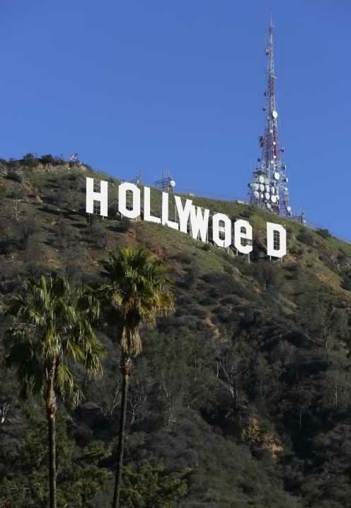 Hollywood Sing | Wiki | •Hollywood• Amino