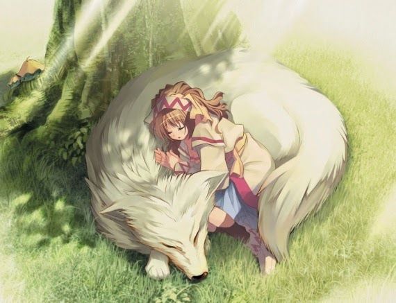 Anime Girl and her wolf | Anime Amino