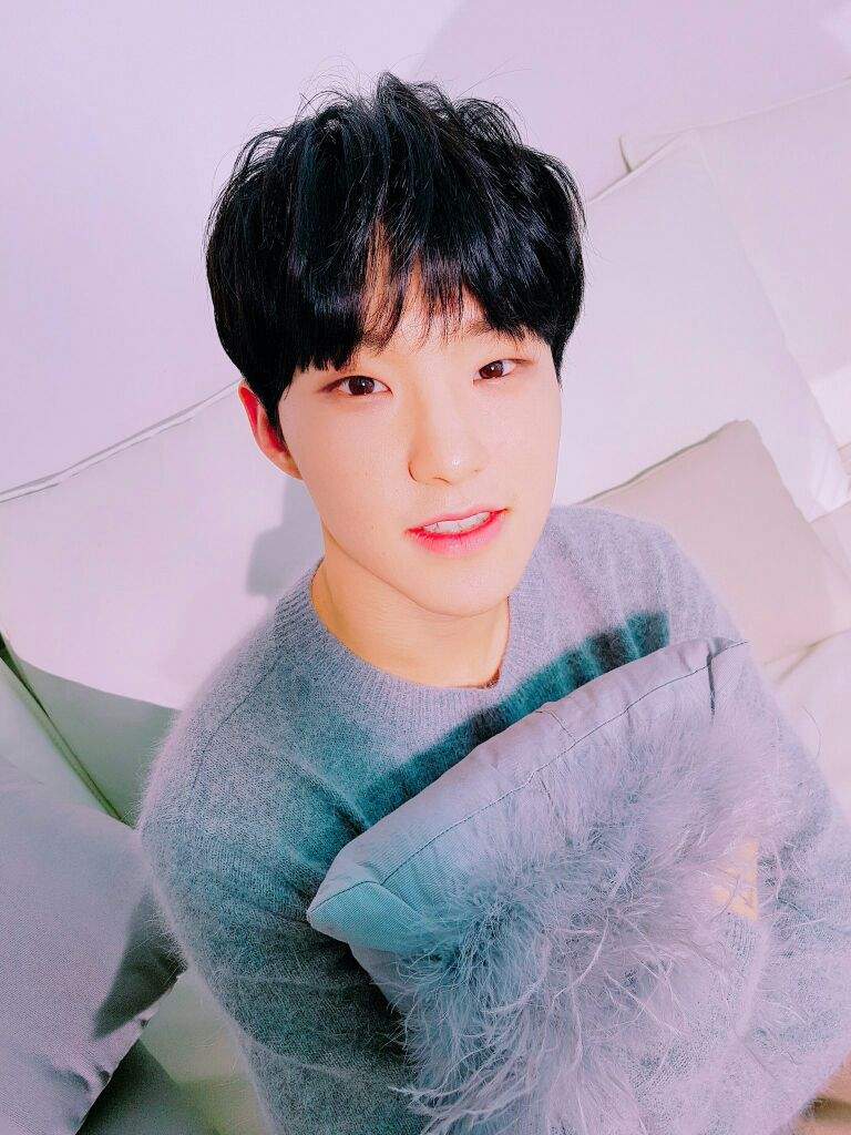 Do You Know Kwon Soonyoung Well? | Carat 캐럿 Amino