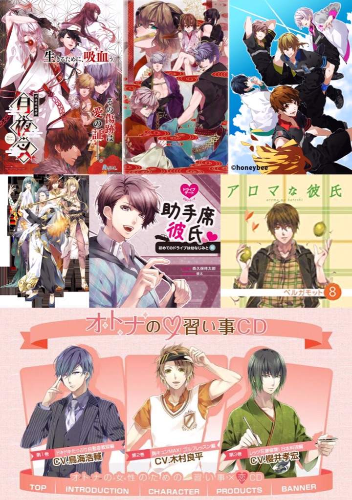 Teita Wiki Otome Amino