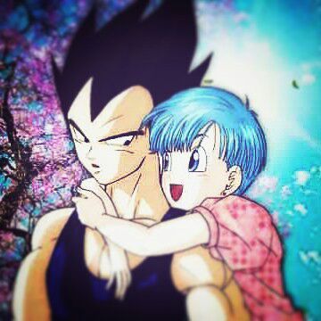 Vegeta and Bulma | Anime Amino