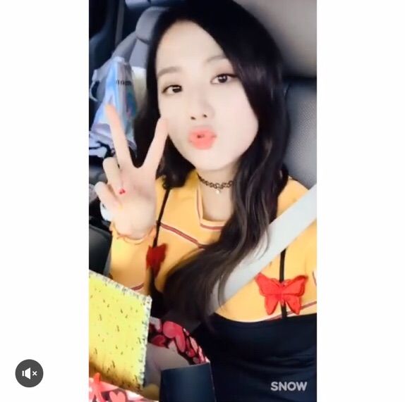 BLACKPINK IG Updates! | BLINK (블링크) Amino