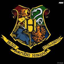 O verdadeiro valor da sua casa em Hogwarts !!! | ⚡.HARRY POTTER.⚡ Amino