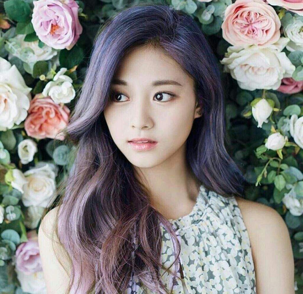 Tzuyu | Wiki | Twice (트와이스)ㅤ Amino