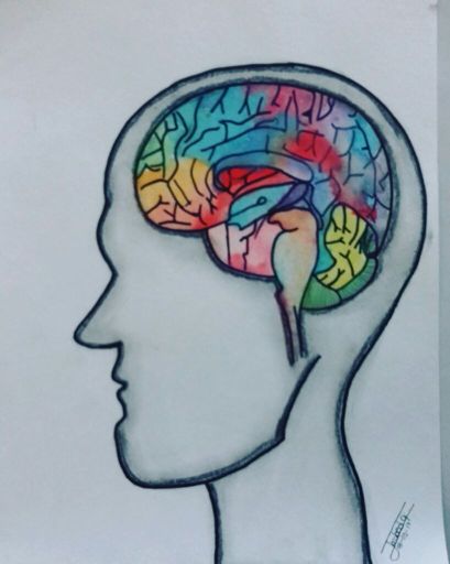 Cerebro con colores🙆 | •Arte Amino• Amino