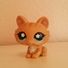 amino-lps beanie boo-acfa9fc6