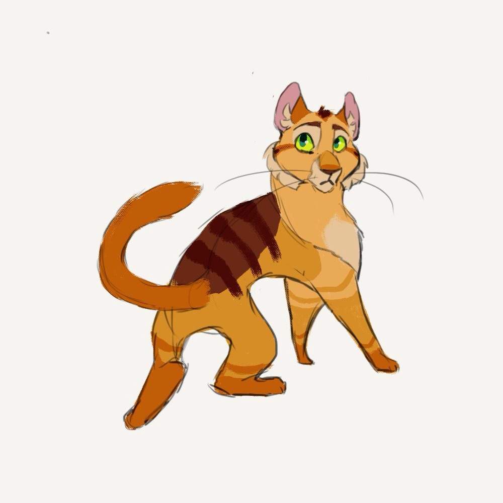 Firestar design Warriors Amino