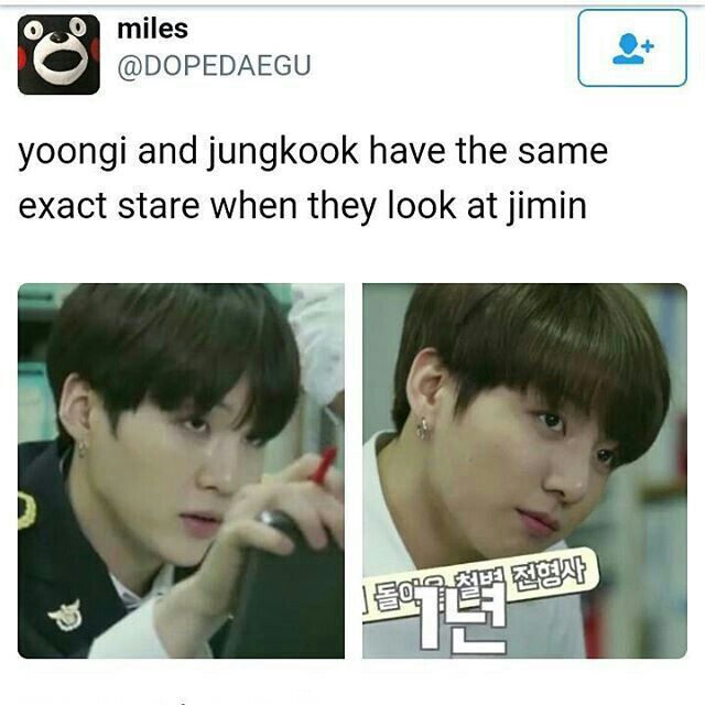 Jimin Memes 