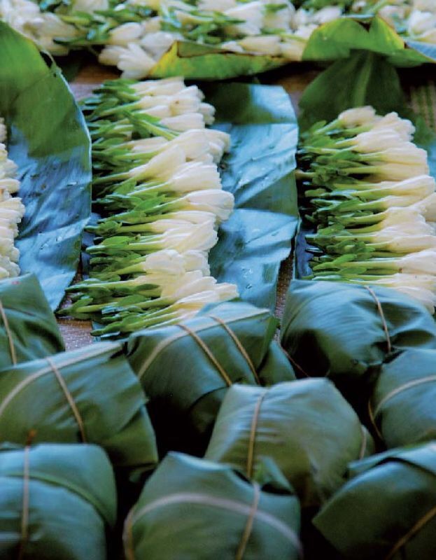 Secret Meaning of a Flower Worn Behind the Ear 🌸🌼🌺 Nature Lovers💚 Amino