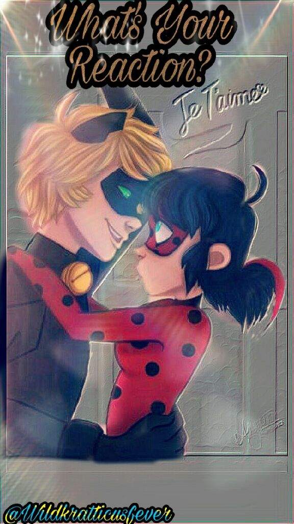 500 Followers Special Miraculous Amino