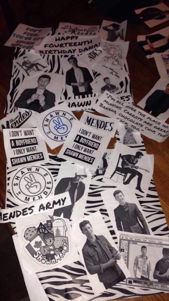 Shawn Mendes Birthday Gift Ideas By A Non Shawn Lover Shawn