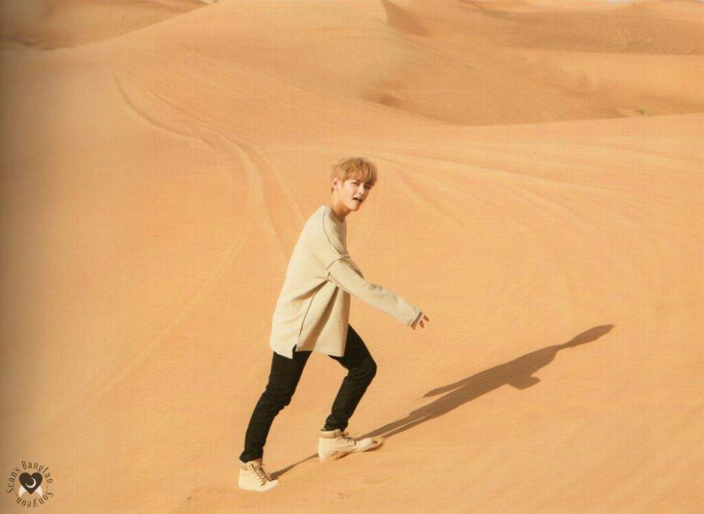 Bts Dubai Photoshoot Pt3 Army Br Amino 