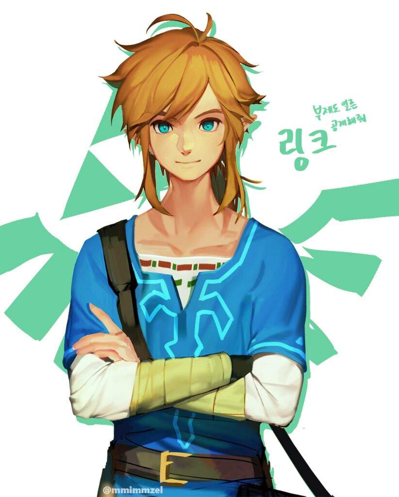 Breath of the Wild: Wild Link | Zelda Amino