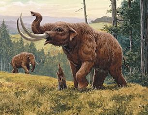 mastodonte mexico