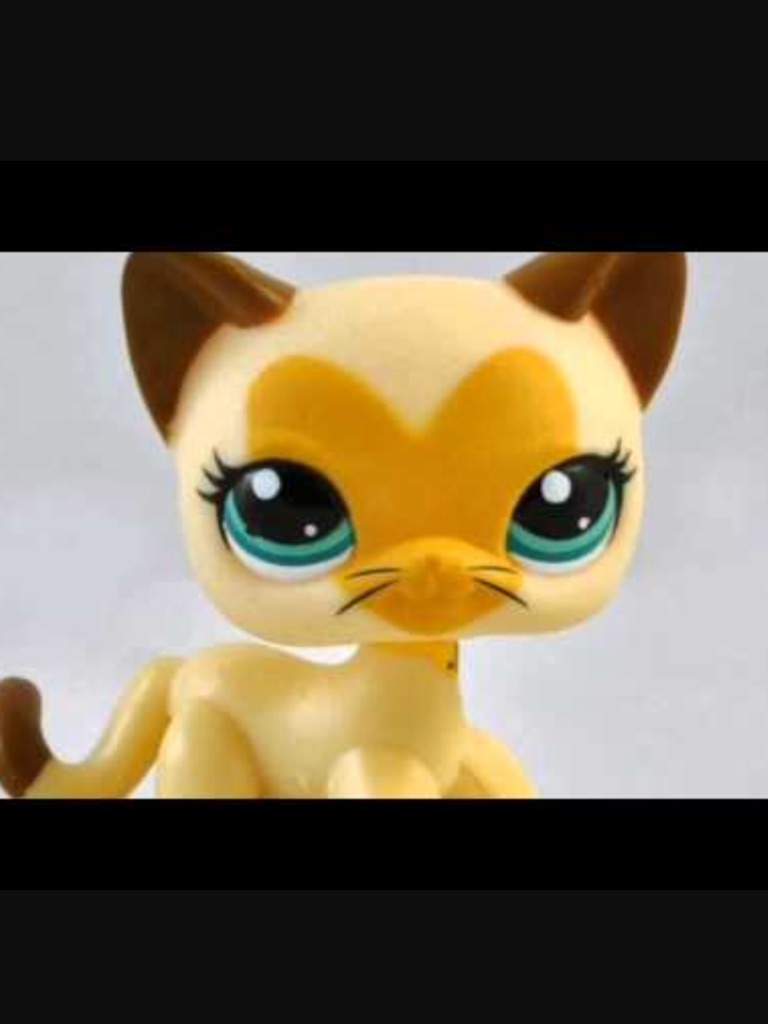 How Lps started LPS Nation Amino