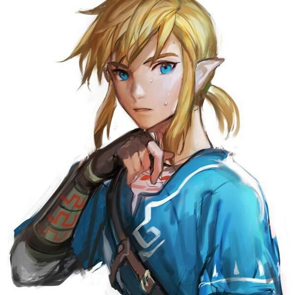 world of nintendo breath of the wild link