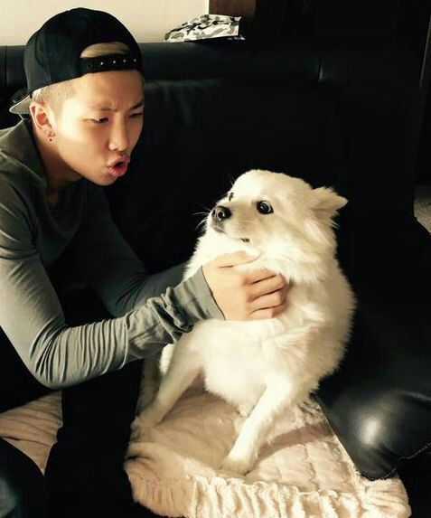 Rapmon - jooniee's dog | ARMY's Amino