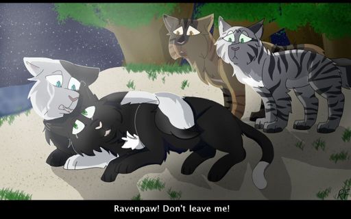 Ravenpaw's Death | Warriors Amino