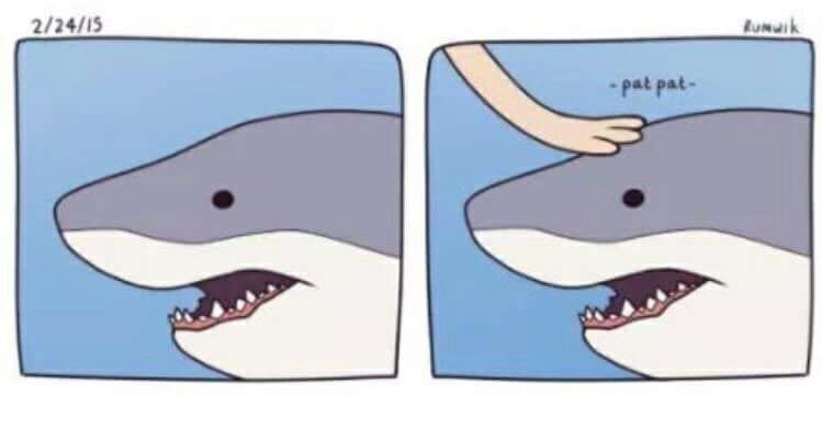 Furry Shark Ass